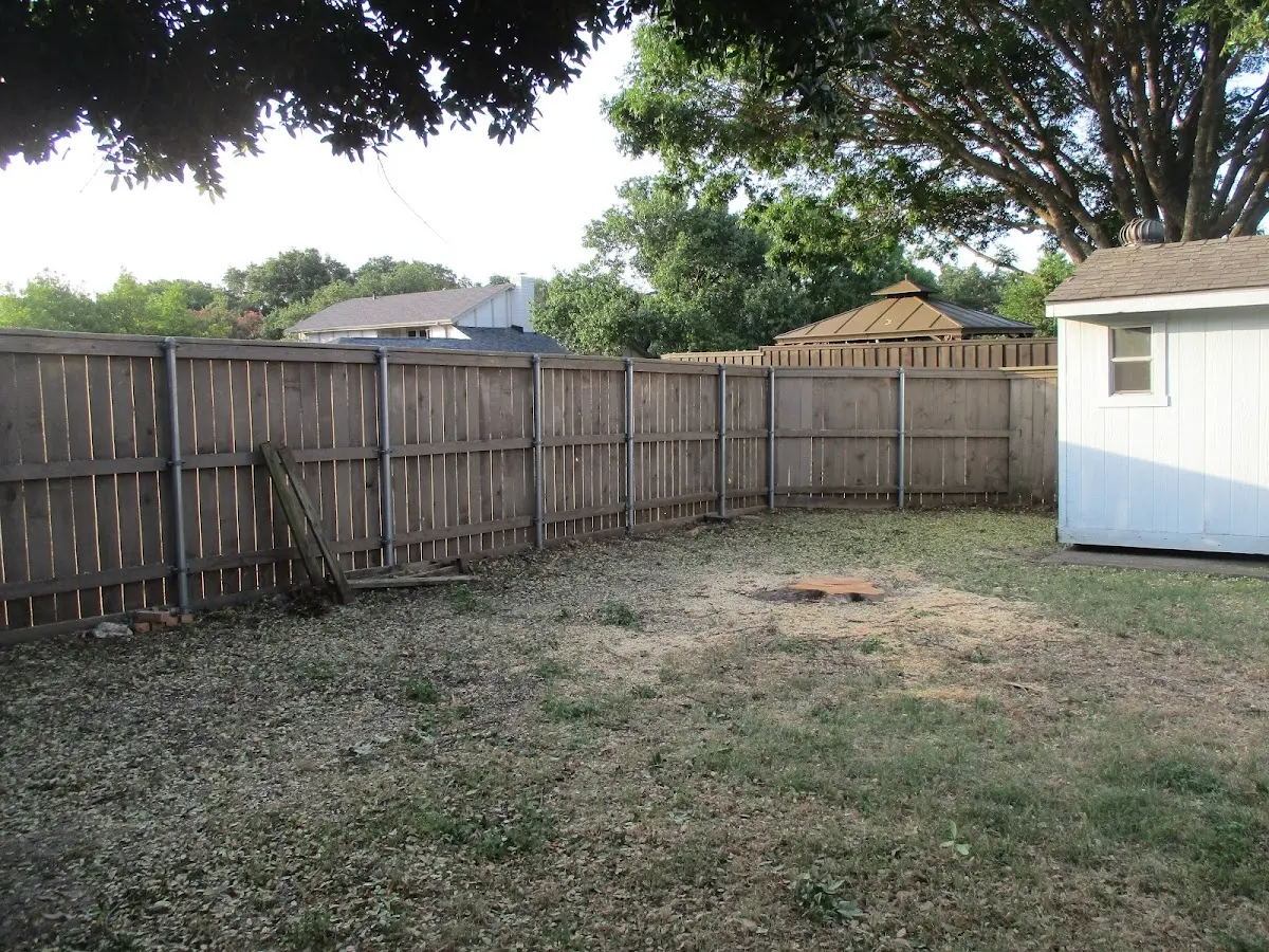 Cleared yard after professional tree removal in Hixson