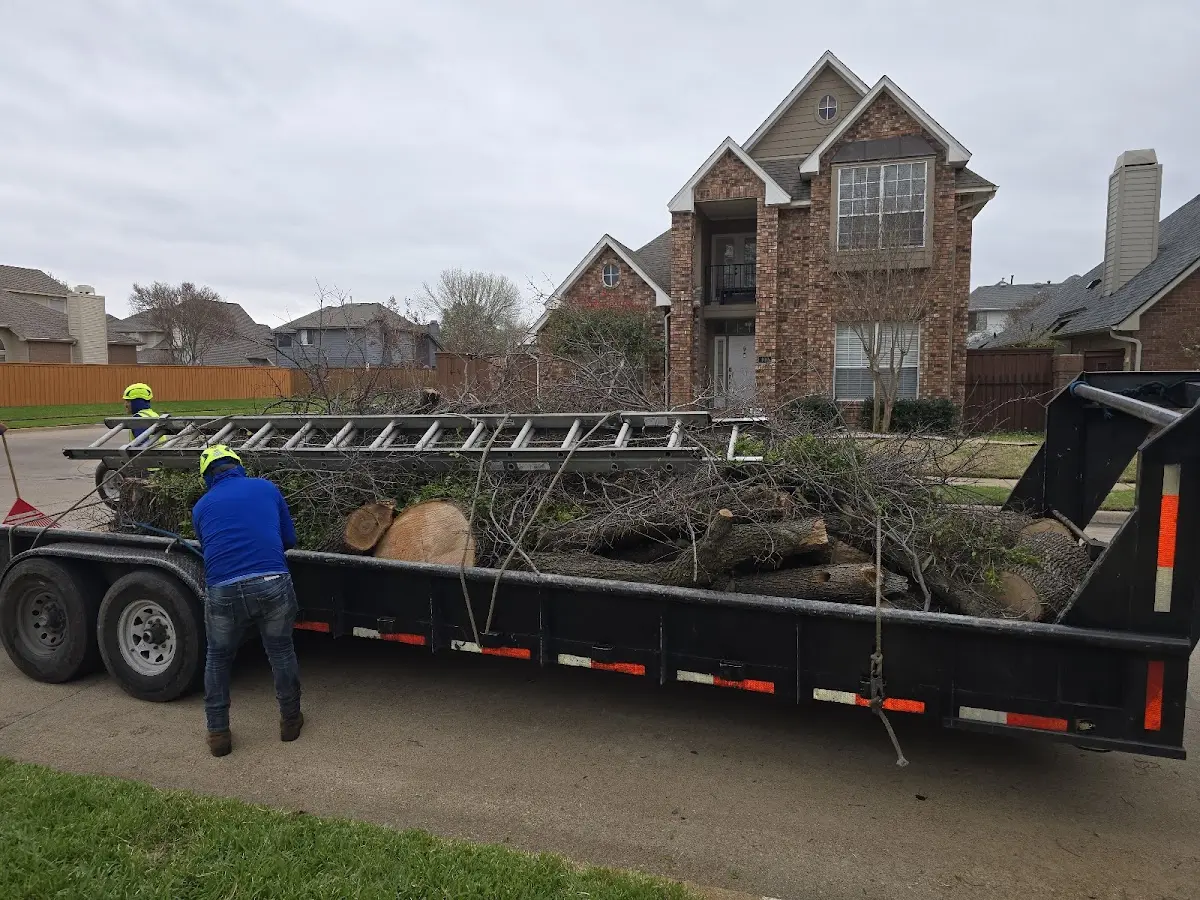 Expert Tree Fertilization with proper safety equipment in Hixson